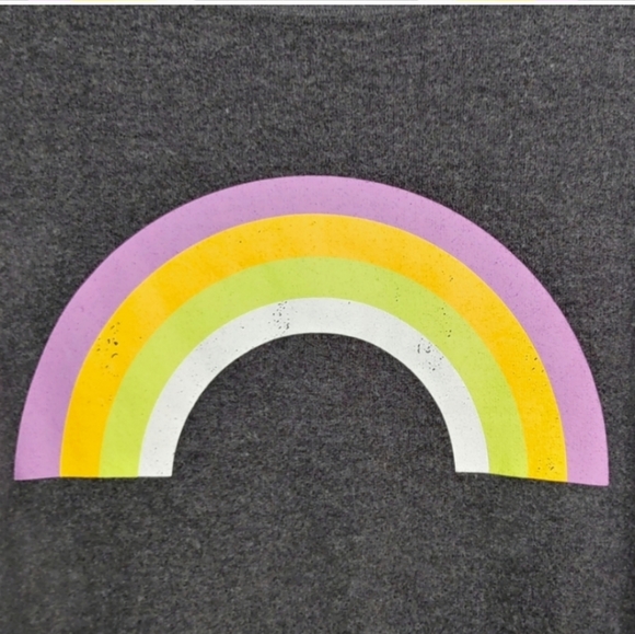 Wildfox Sommers After the Rain Gray Rainbow Sweatshirt Top Women's Size XS - Picture 3 of 8
